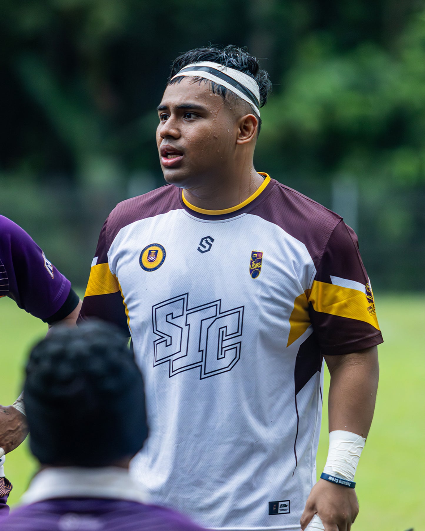 LIONS RUGBY 15s 2026